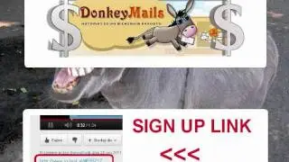 donkeymails