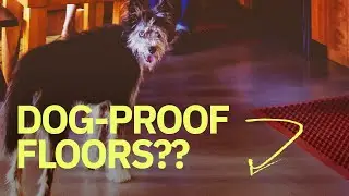 Flooring options for your remodel
