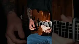 Riff of the day! 😊✨ #acoustic #acousticguitar #fingerstyleguitar #fingerpicking #guitar