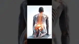 Shorts Special.#YogaForBackPain #SpinalHealth#CatCowPose #BackStretch#FitnessIndia #YogaVibes