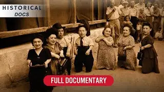 Music, Courage, and Survival | Warwick Davis: The Seven Dwarfs of Auschwitz | Full Documentary