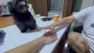 Zoomie 61: &ldquo;Trying for the first time the hands-in challenge&rdquo; 😊