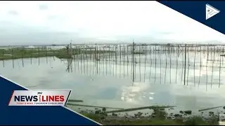LLDA taking steps to resolve algal bloom problem