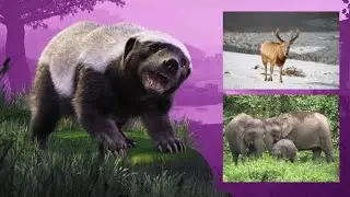 PLANET ZOO NEW ASIAN PACK ANIMALS LEAK! (BORNEAN ELEPHANT & PERE DAVID'S DEER CONFIRMED?!!!