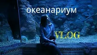 VLOG/океанариум/ Аdelwall Dich