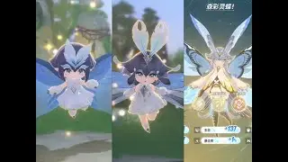 【Azur Promilia|蓝色星原:旅谣】The little flashing butterfly evolved into a big butterfly.闪光小蝴蝶进化成大蝴蝶