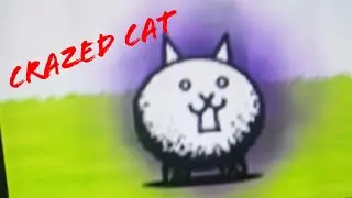 My first crazed cat!