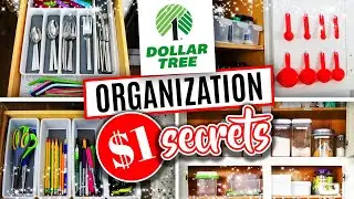 $1 Organization Secrets from Dollar Tree...Best Products for 2021 @lizfenwickdiy