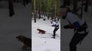 Таёжный спринт - мини видео с трассы 47 Муромцева Инна