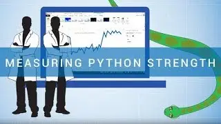 Experts Test Python Strength