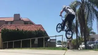 Gone Biking - Long Beach Locals