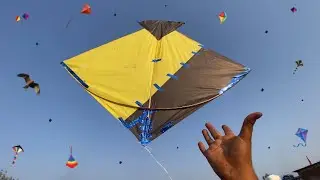 Kite looting new video | patang loot li bahut saari | patang lutere #kite