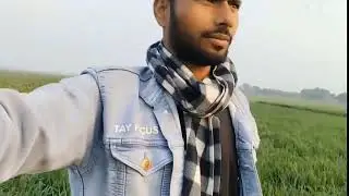 Flowers in fild vieu my first video on you tube channel Tauhid rza 💐🇮🇳🌈🌲🕊️