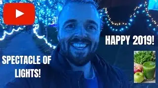 2019 VLOG | VAN DUSEN FESTIVAL OF LIGHTS, VANCOUVER | JUICING | REFLECTING ON 2018 | FOOD