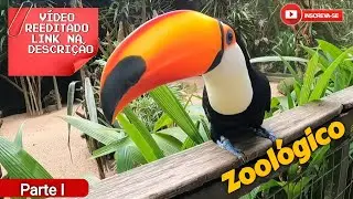 Vídeo reeditado - link novo na descrição | Zoológico de Itatiba #parte1