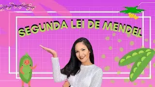 SEGUNDA LEI DE MENDEL (DIIBRIDISMO) | Thaís Magalhães