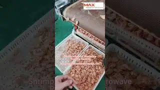 Shrimp Industrial  Microwave Roasting Machine www.maxindustrialmicrowave.com