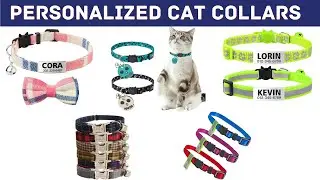 Best Personalized Cat Collar for Helping Your Lost Cat Get Home