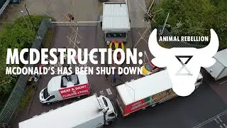 McDestruction: rebels close entire distribution network to protect people, animals and the planet