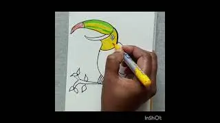 How to Draw Toucan Bird | Easy Drawing Tutorial for Kids
