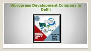 Wordpress  development company in Delhi