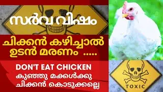 How to making toxic free broiler chicken in Malayalam