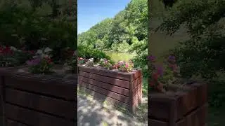 New York City Park🌳🌿🍀🍃 #nature #video