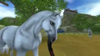 Neue Pferde Farben + Pferdekauf /Star Stable