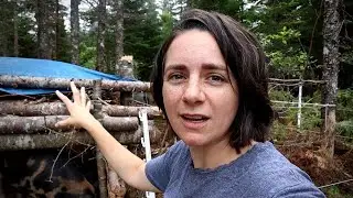 He Built a Pig Shelter For Free (Vlog)