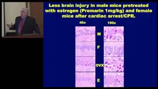 Cerebral Neuroprotection 5-4-12
