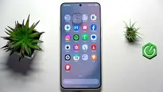 How to use Gemini Live (AI visual assistant) on SAMSUNG Galaxy S25 FE