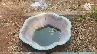 7 January 2026 புதுக்கோட்டை அரண்மனை  3 பாகம்