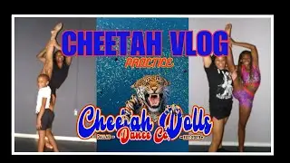 Cheetah Vlogs 1 | Comp. Practice