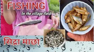 FISHING IN THE VILLAGE FIELD