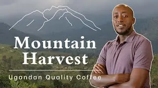 Mountain Harvest - Uganda Quality Coffee & Quality Impact