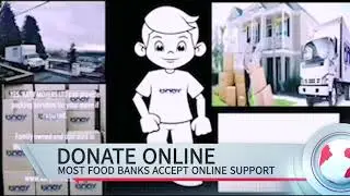Food Insecurity and the Food Banks In Crisis