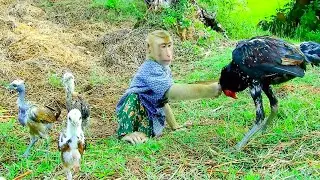[ ANGRY ] SokYaa Warning ToTo Cos Fight Baby, My Son Take Baby Chicken