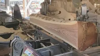 Sawing 8ft red oak #230