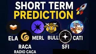 Cati usdt 