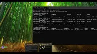 Instalando un Wordpress con docker compose