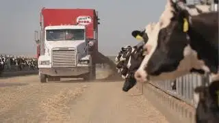 Amazing Modern Agriculture Machines | TRIOLIET Mixer Wagons, Silage Cutters & Feeding Robots
