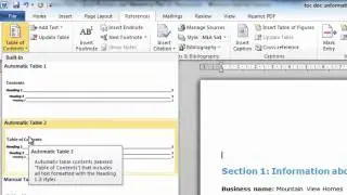 Word 2010, Table of Contents and Styles