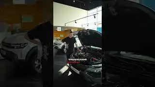Renault Kardian: комплектації, ціни та всі фішки моделі