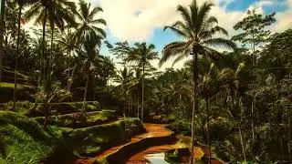 Best Slow Very Relaxing Harmonic Mindfulness Reflection Soothing Zen Meditation Positive Music