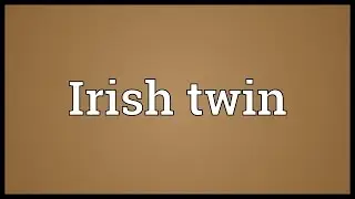 Irish twin Meaning