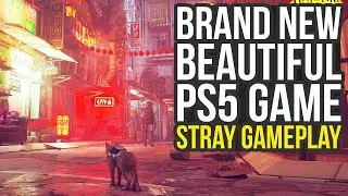 Stray Gameplay - New Beautiful PS5 Cat Game Free With PlayStation Plus Extra (Stray Part 1)