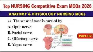 Top Nursing Competitive Exam MCQs 2026 | Anatomy & Physiology Nursing MCQs | RRB, AIIMS, BSc Nursing