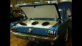 mustang Shel  DRAGONSLiVED
