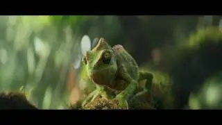 Berocca Chameleon dancing to Panjabi MC - Be More Berocca Ad : Berocca