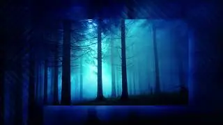 You just want to sit and think about your life...(Sad Songs Playlist)